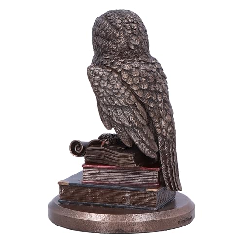 Nemesis Now An Owl’s Tale Bronze Figurine 14.5cm - Wise Owl on Books Resin Ornament - Image 3