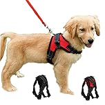 Dog Harness No Pull Adjustable Puppy Vest Harness Small Dog Mesh Breathable Soft Padded Pet Chest Strap (XS, Red)