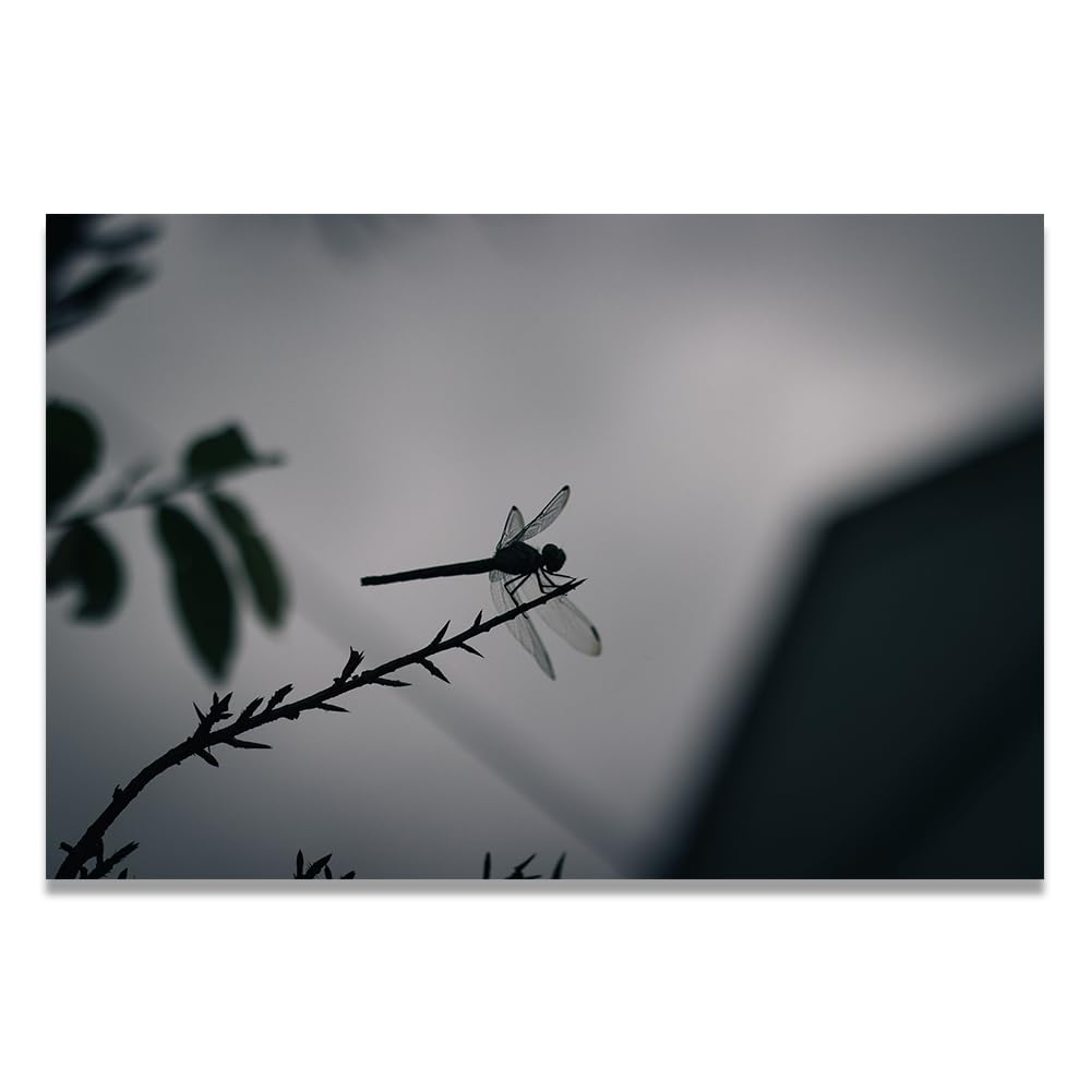 VHdfgTY Flying To The BranchMountain Landscape Canvas Wall Art Nature Scenery Wall Decor for Home 20x30cm Unframed