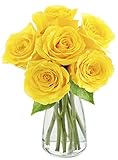 KaBloom - Bouquet of Sunshine Yellow Roses: 6 Fresh Cut Yellow Roses (Farm-Fresh, Long-Stem) with Free Vase Included - Fresh Flowers for Birthday, Valentine's & Mother's Day