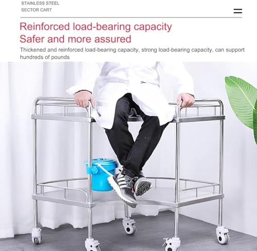 Collapsible Wagon Cart with Wheels Foldable Folding Wagons Carts Silent Universal Wheels,Mobile Medical Trolley Cart with Swivel Casters, 2-Tier Stainless Steel Utility Cart for Salon, Spa,