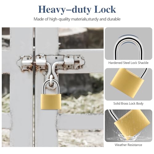 Image of BRAXE 4 Pcs Keyed Padlock with 6 Same Keys Waterproof Small Solid Brass Lock 1.18inch 30mm for Gym Locker Case Backpack Luggage Hasp Storage Sheds Fence Toolbox