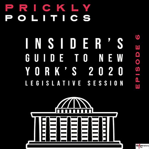 Insider's Guide to New York's 2020 Legislative Session