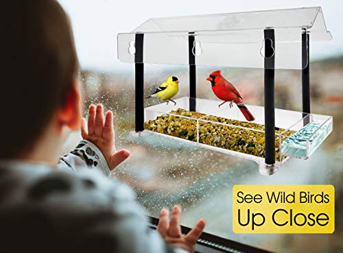 Window Bird Feeder for Outside - Squirrel and Weather Proof Clear Birdfeeder Hanger - Big Strong Suction Cups - Refill Sliding Tray - Best Birdhouse Cat Gift - Mount For Finch Cardinal Blue Jay Crow