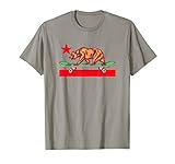 Skateboard Grizzly Bear California Flag Funny Skater Retro T-Shirt