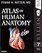 Atlas of Human Anatomy (Netter Basic Science)