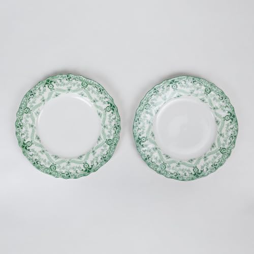 Image of GOLDEN QUEEN'S Handcrafted Dinner Plates: Set of 2 | Perfect for Hosting and Daily Meals | Microwave Safe Plates | 10 inch | Serves 2 - Willow Garden Dinner Plates