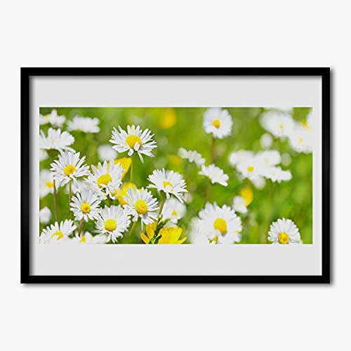Affiche encadrée marguerite 70x50 cm avec cadre en MDF noir Tulup pour salon
