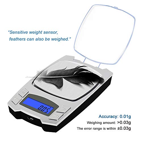 500g x 0.01g Digital Milligram Scale Rechargeable Scales for Jewelry Power Weighing, Mini LCD Pocket Lab scale (Silver)
