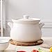 DZX Cazuela de cerámica Redonda con Tapa sopera de cerámica Blanca Cacerola de cerámica Resistente al Calor Olla de cerámica con vitrocerámica Olla Caliente con Doble asa Blanco 10l, Safe Stew Pot