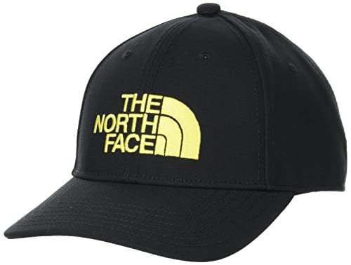 [ザノースフェイス] TNF Logo Cap