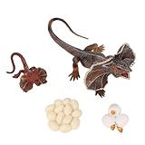 Eidechsen-Wachstumsspielzeug, 4 Stück, Simulationstiermodell, Simulation Eidechsen-Wachstumsornament, Kinder, Kognitiver Wachstumszyklus, Tierspielzeug für Kinder