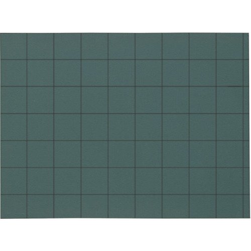 }C]bNX ʐ^HpؐCS^Cv 300mm×450mm W-9CS