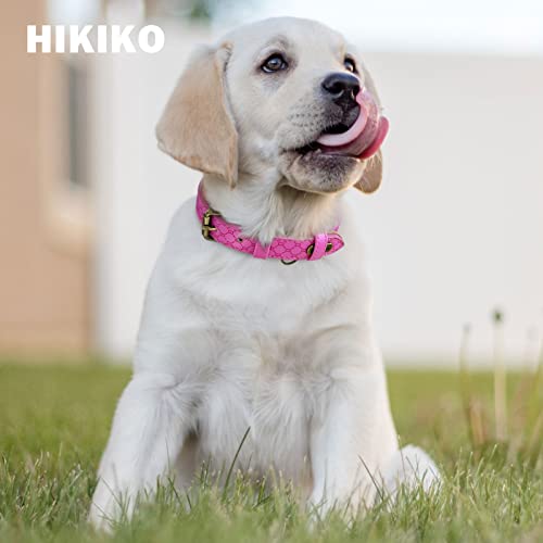 Basic Classic Luxury Padded Leather Dog Collar - Rust Proof Brass Strong Leather Collar Heavy Duty Alloy Hardware Best for Small, Medium, Large Dogs - Image 3