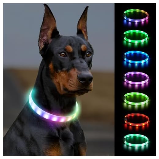 Joytale lichtgevende en oplaadbare hondenhalsband met 9 standen, verstelbare en waterdichte led-halsband voor kleine, middelgrote en grote honden, 70 cm