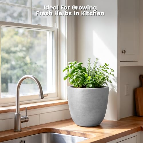 Image of Kante Small Round Bowl Pale Gray Concrete Planter 10 inch Dia, Outdoor