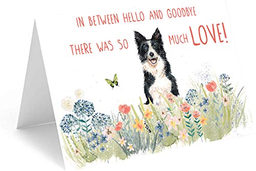 Red Door InspirationsDog Sympathy and Cat Sympathy, Sorry for your loss cards. 20 cards and envelopes - Made in the USA! (Variety Pack Pet Sympathy Card - 4 Designs)