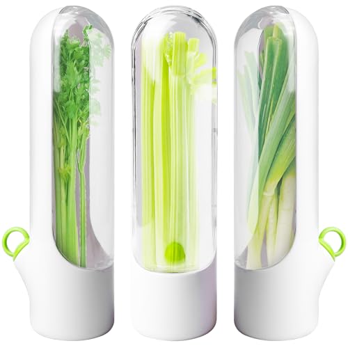GOMETY - GOMETY Herb Keeper Fridge Lot de 3 récipients de conservation pour herbes de réfrigérateur pour coriandre, persil, asperges, conserves de fraîcheur
