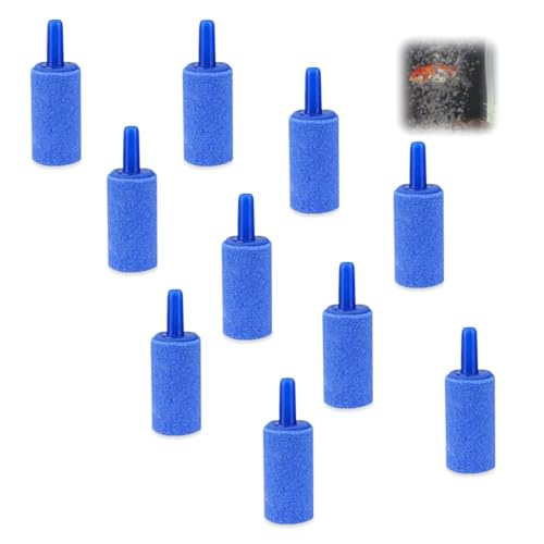 Mirhua ~` |v C GAXg[V_[oufBt[U[ {t͔|p ^   _fo GAXg[ CAfBt Mы ANAE uNuN(u[)