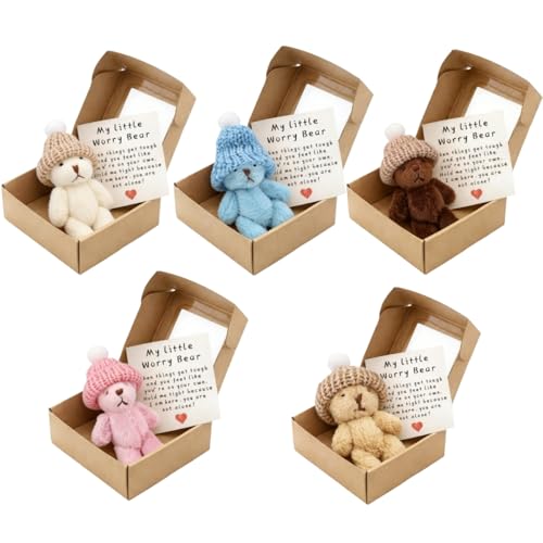 5 PCS Mini Plush Bear in Box Little Bear in A Box My Little Worry Bears with Greeting Card and Box - Emotional Support Relationship Gift for Friends Family Colleagues