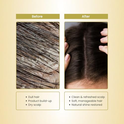 Image of Havintha Herbal Sidr Leaves Powder for Hair & Skin Care, 250g | Made from premium-quality Sidr (Ziziphus) leaves with no added chemicals, artificial colors, or preservatives.