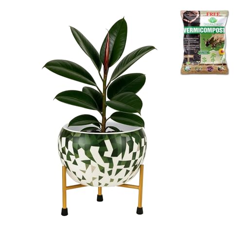 Image of Natural Earth Metal Flower Vase Planter Pot with Iron Stand | Decorative Plant Cachepot for Indoor & Outdoor Use | Succulent Pot for Home & Garden Decor (Apple Green)