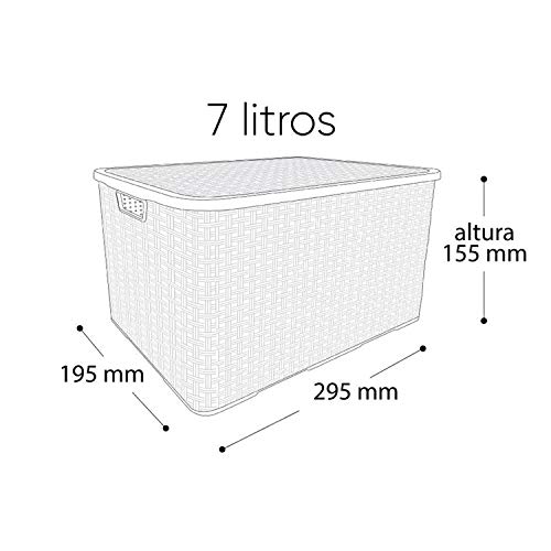ORGANIZADOR RATTAN C TAMPA 07 LTS (PRETO)
