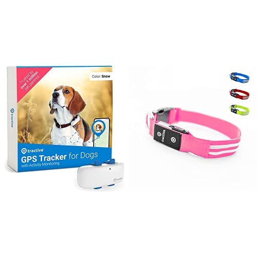 Tractive GPS Tracker Die 15 besten Produkte im Vergleich & Angebote