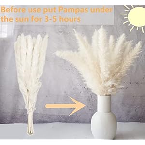 110 PCS Dried Pampas Grass Bouquet Boho Table Decor Bunny Tails Dried Flowers Brown Pompas White Pampas Grass for Wedding Home Rustic Party Baby Shower Decorations