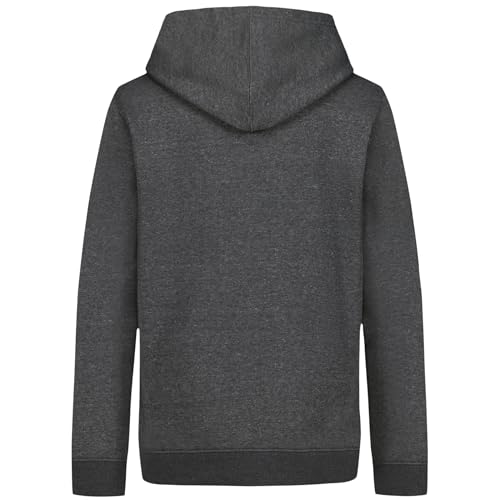 Image of Under Armour Kids CB Hundo Hoodie (Big Kid)