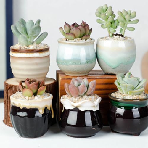 Pots à plantes en céramique Milisten lot de 6 avec trou de drainage style aléatoire