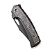 WE Knife Nefaris 22040F-1 Frame Lock Titanium and Carbon Fiber CPM-20CV Stainless Pocket Knives