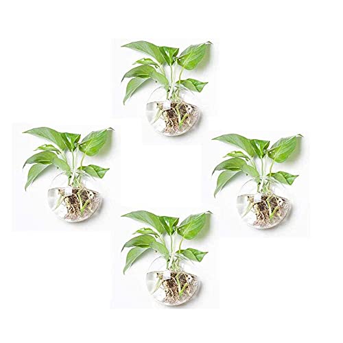 Macetas, Kitchen Imagen adicional