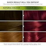 Garnier Nutrisse Ultra Color, Permanent Hair Dye, Intense Colour, For All Hair Types, 5.62 Vibrant Red - Image 2