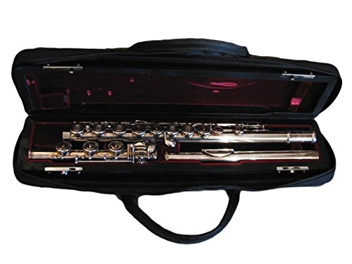 Jupiter diMEDICI 811RBS Semi-professional C Flute with Inline G, B Foot and Gizmo Key