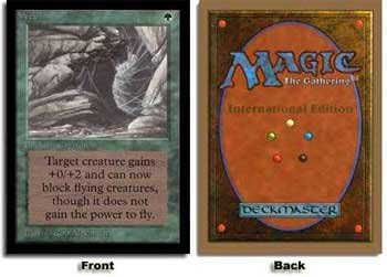 Amazon Co Jp 英語版 インターナショナル エディション Ced Web 蜘蛛の巣 マジック ザ ギャザリング Mtg ホビー