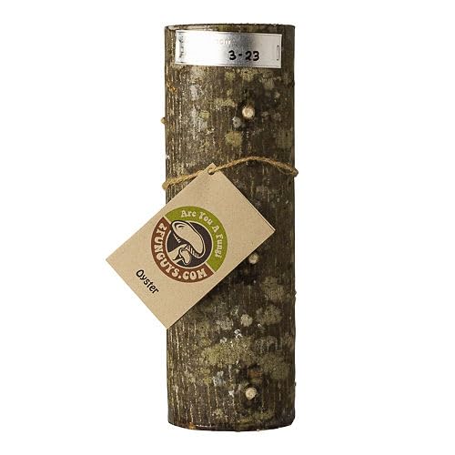Oyster Mushroom Growing Log, 12 Inch, Pre-Inoculated Hardwood, Organic Outdoor Kit