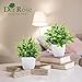 Der Rose 8 Pack Fake Plants Small Artificial Faux Potted Plants for Home Office Farmhouse Bathroom Bedroom Decor Indoor