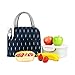 Andiker Bolsa Térmica, Bolso de Almuerzo Aisladora Fiambrera de Tela Oxford Bolso de Mano de Almuerzo Térmico a Prueba de Fugas para Exteriores Picnic Colegio Trabajo (Pluma)