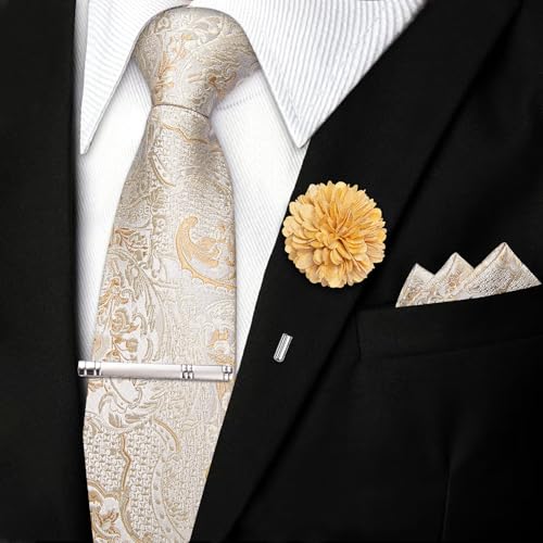 Image of DiBanGu Silk Zipper Ties for Men, Formal Pre-tied Necktie