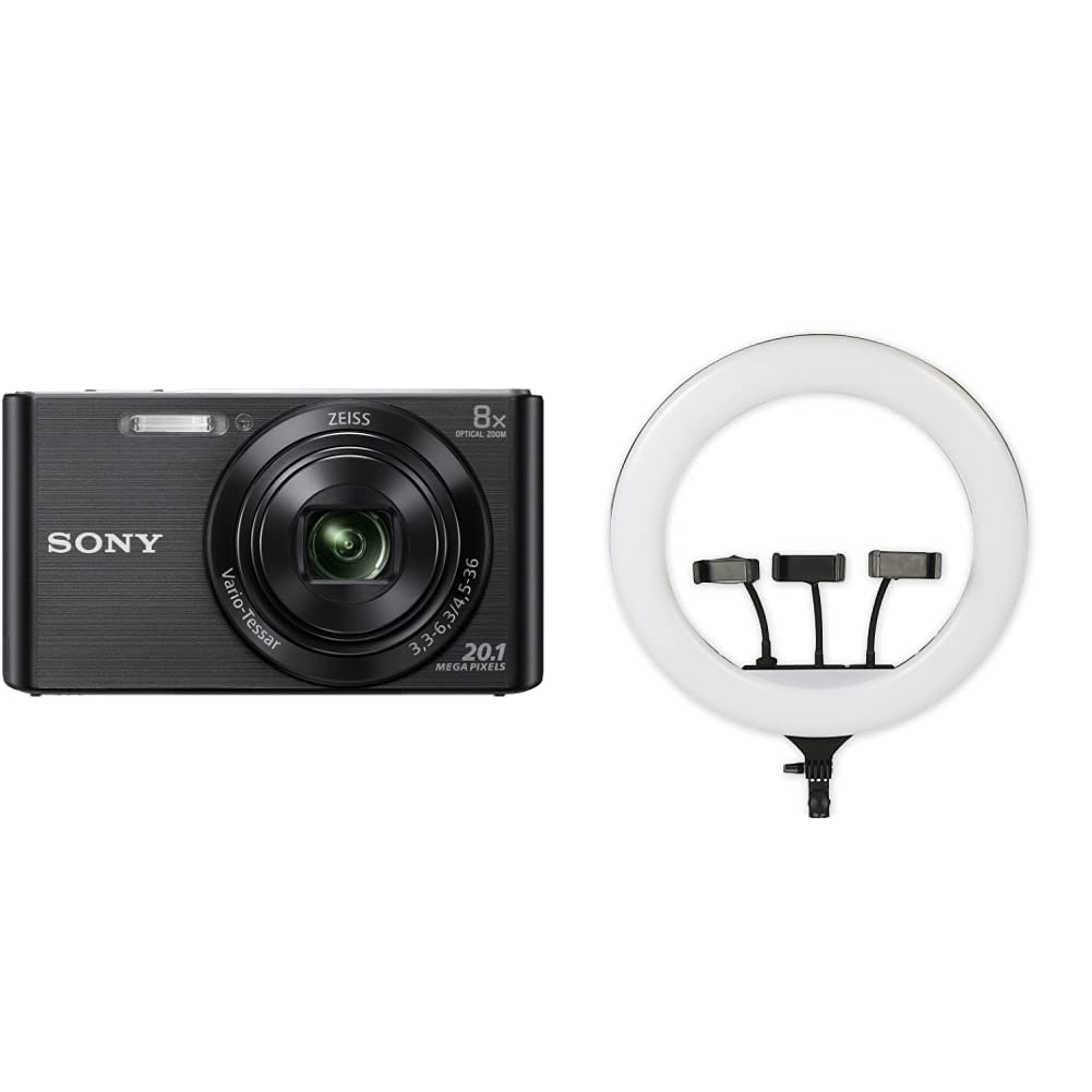 Buy Sony DSC W830 Cyber-Shot 20.1 MP Point and Shoot Camera (Black