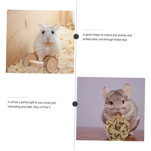 POPETPOP 30 Pçs/Conjunto Conjunto De Jogos Para Hamster Brinquedos Esportivos Para Ratos Brinquedo D