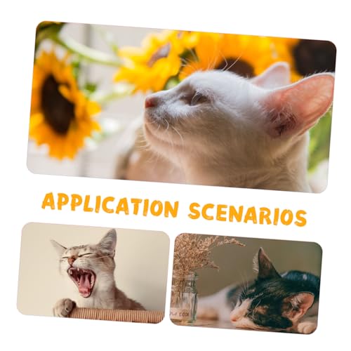 Chapeau pour chat confortable pour déguisement de fête