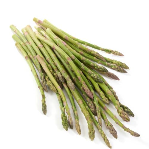 Grüne Spargel Pflanzen - 5 frigo A+ Echte Pflanzen aus Holland - Winterhart und Mehrjährig Gemüse - für Garten und Hochbeet (keine Samen keine Zwiebeln und nicht künstlich)