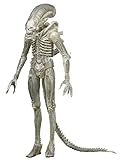 NECA - Alien - 7β Scale Action Figure - 40th Anniversary Asst 1 Big Chap (Concept)