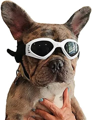 dog goggles amazon
