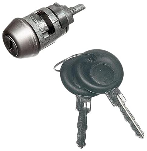 HELLA 920310101 Ignition Switch - VW Beetle, Multi
