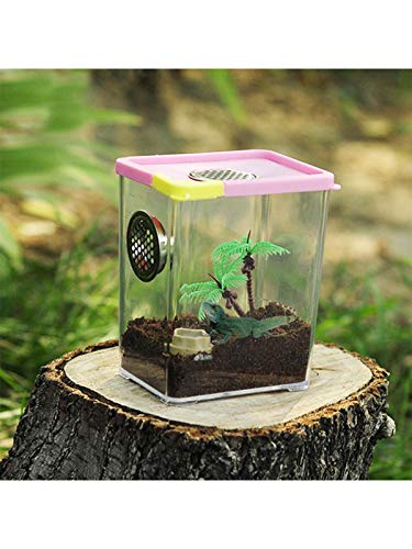 PERFECTHA Insect Voeding Doos Reptielen Fokken Doos Clear Acryl Reptiel Terrarium Voeding Doos voor Spide Hagedis… - Afbeelding 4