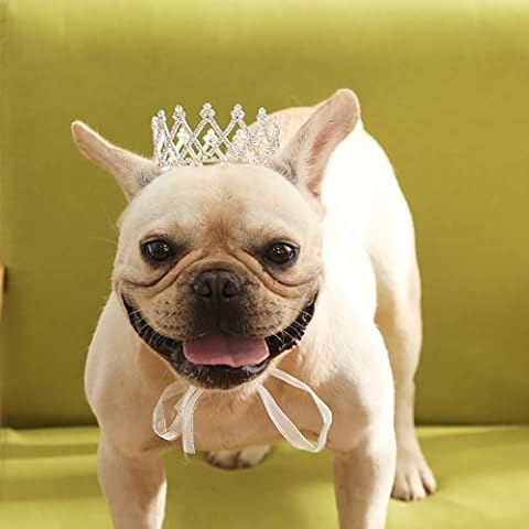 Lovelyshop Pet Series Diamond Shape Grand Rhinestone Full Round Dog/Cat Crown for Royal Family Costume Hair Accessories-Medium Cover