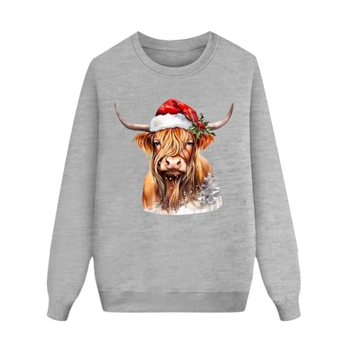 Matching Christmas Pajamas Hoodie Set Festive Long Sleeve Christmas Family Pjs Pullover Sweatshirt Three Piece Outfit